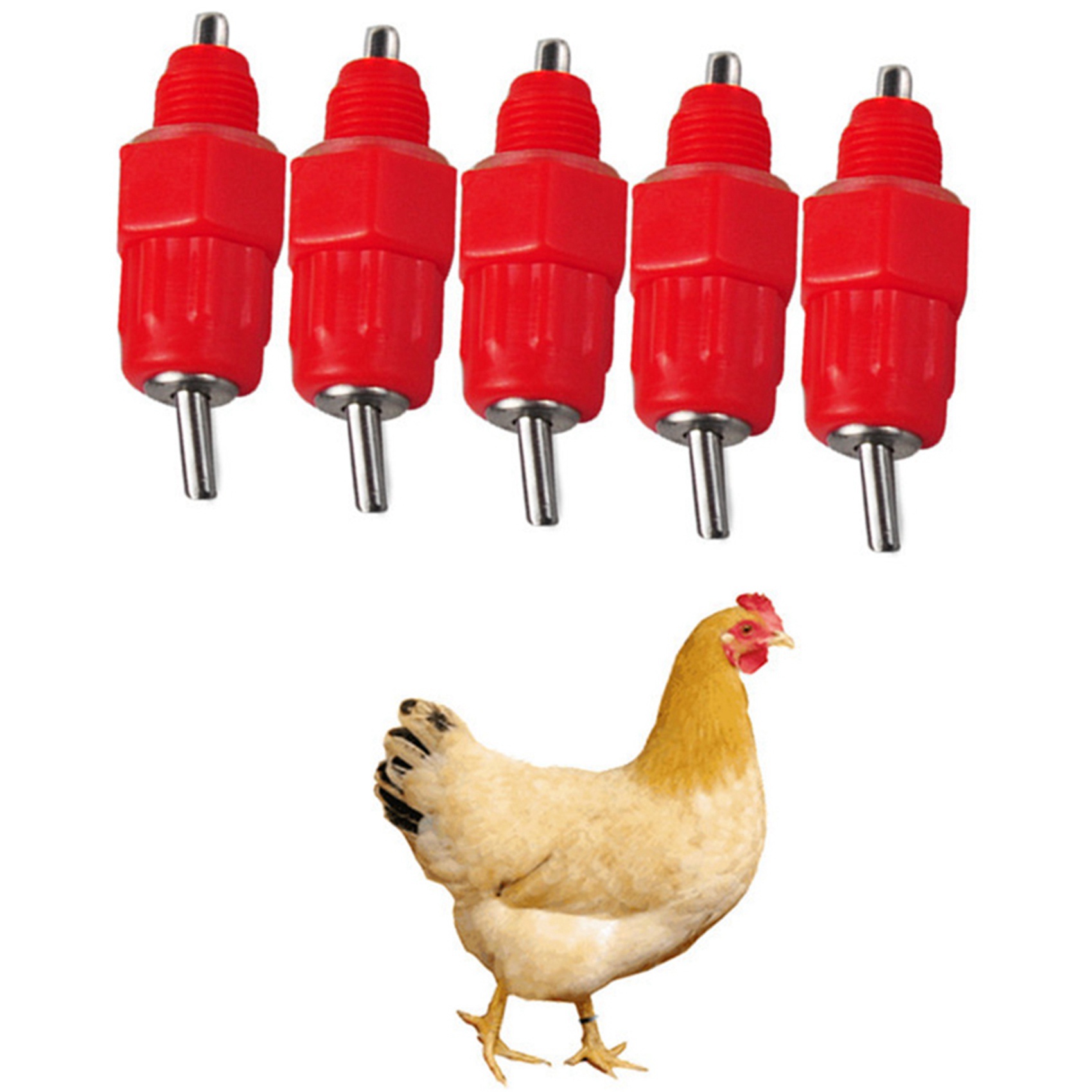 Img